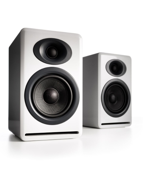 Picture of ProMonitor 1000 Speaker