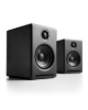 Picture of ProMonitor 1000 Speaker